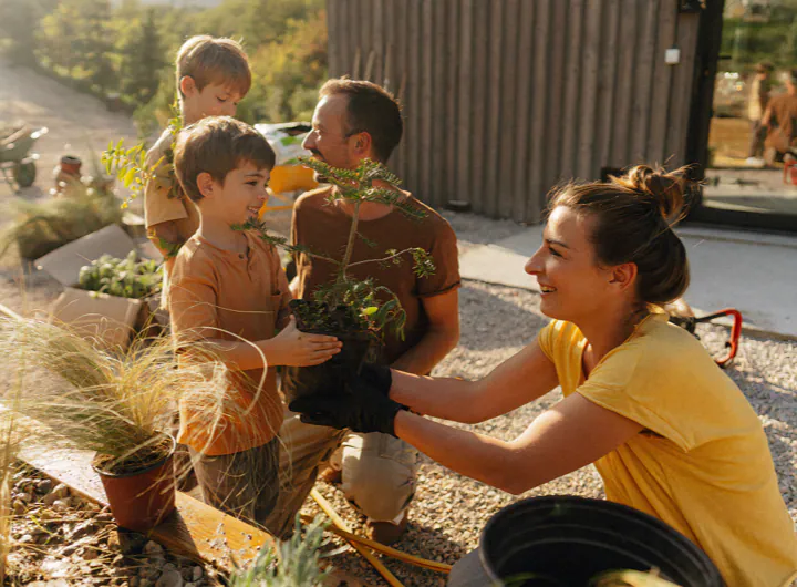 A family of four working together to plant greenery in their backyard garden on a sunny day