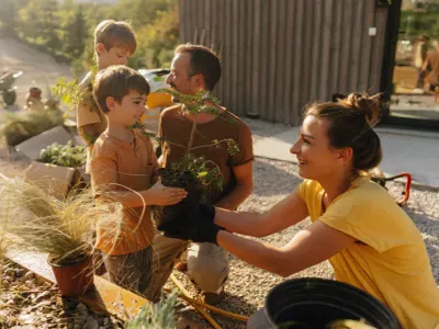 A family of four working together to plant greenery in their backyard garden on a sunny day